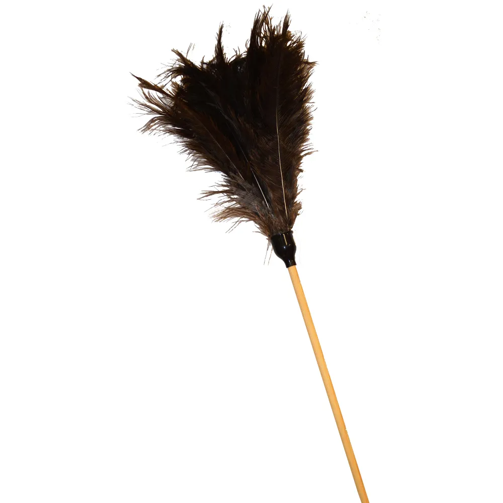 [6003789090112] Feather Duster Chic