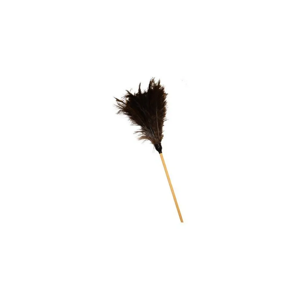 Feather Duster Long Academy