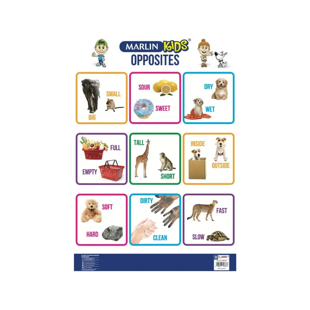 [6009608646386] Chart Kids Opposites - Marlin 