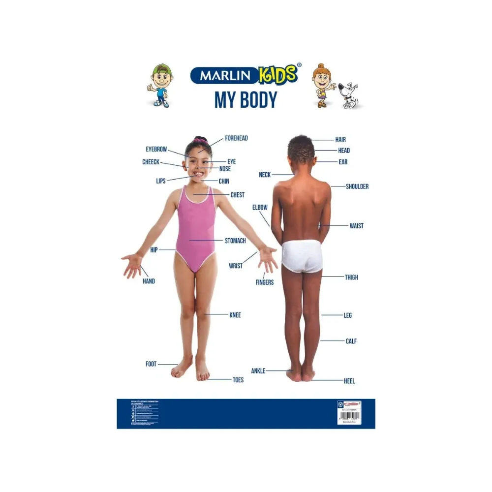 [6009608646393] Chart Kids My Body - Marlin 