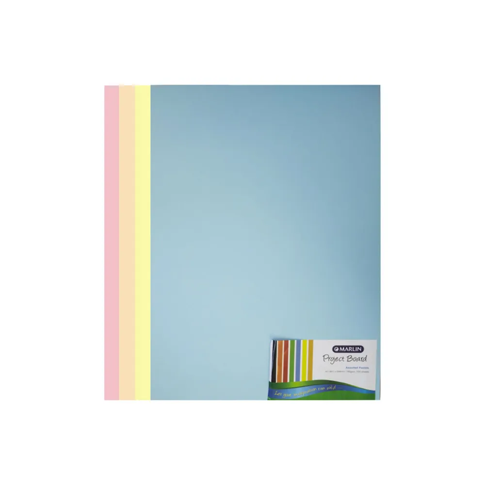 [6009685859013] Board A1 160g Pastel 100`s - Freedom